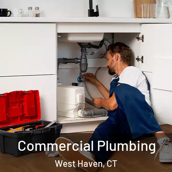  Commercial Plumbing West Haven, CT